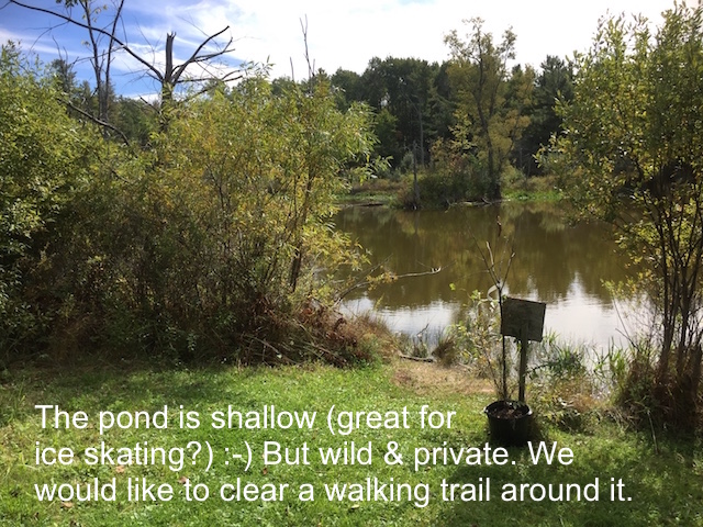 pond-view